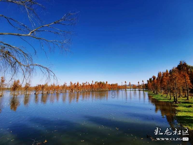 如何评价余梓桾X张子薇《海棠依旧》? - 分享知识,解决问题,尽在中财论坛网站